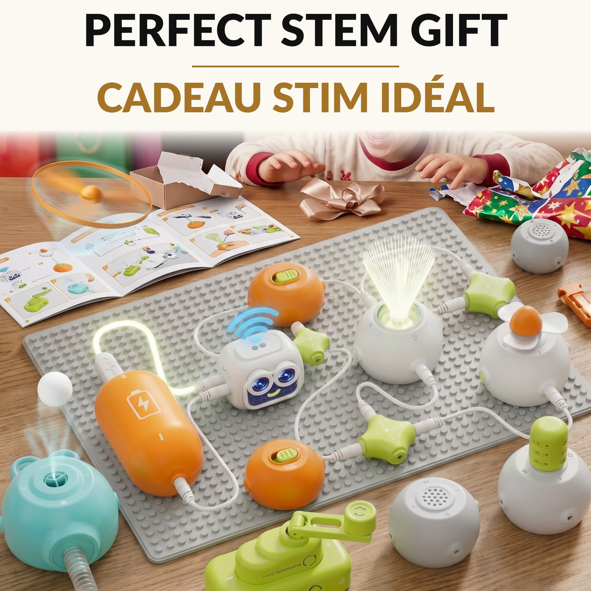 Electronics Science Kit