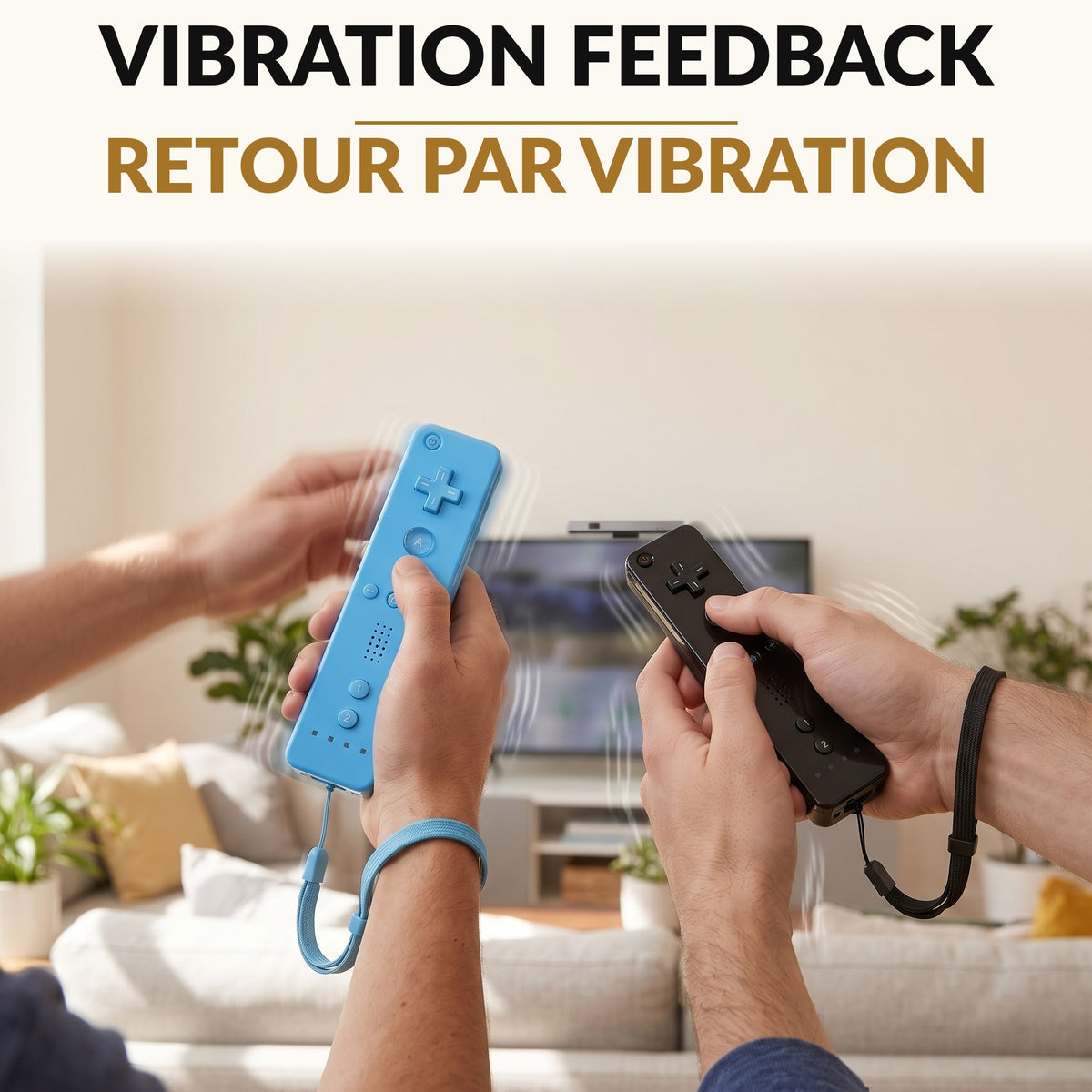 Motion Remote Controller 2-Pack