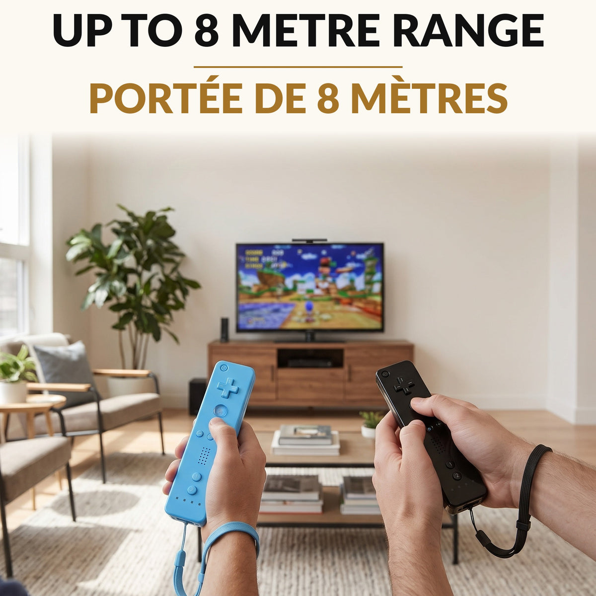 Motion Remote Controller 2-Pack