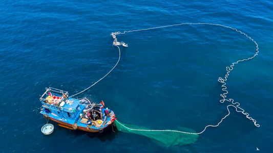 Unleashing the Potential of Fishing Drones: A Guide to Identifying Fishing Zones at Sea!