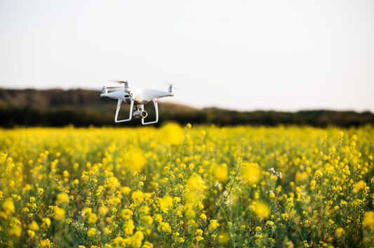 Buzzy Tech: How Drone Innovators Are Becoming Nature's Helpers in Pollination!