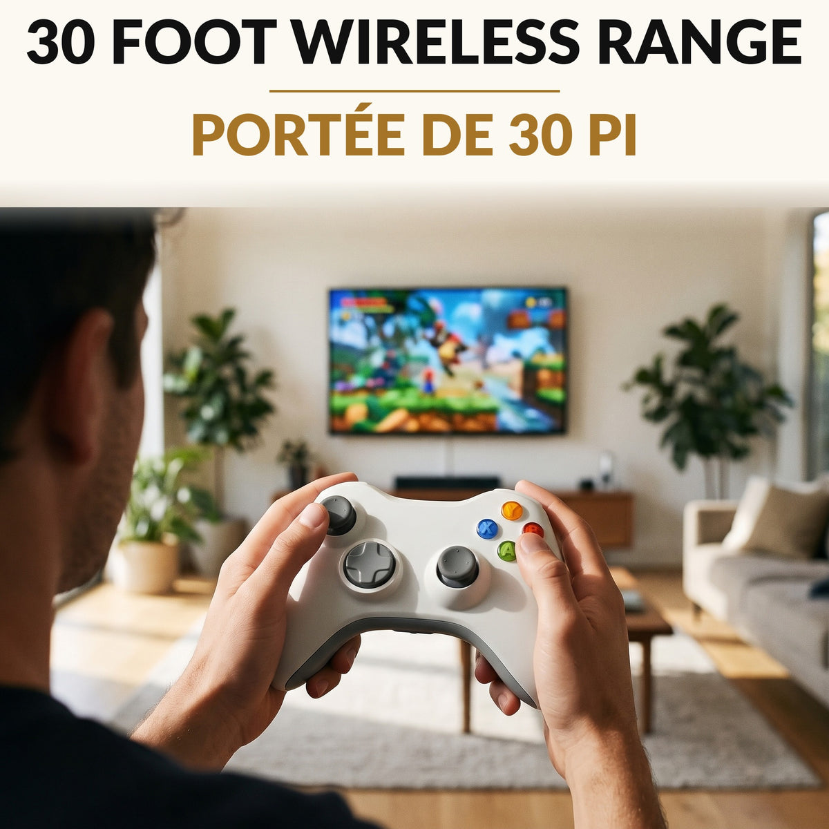 Wireless Controller with USB Receiver