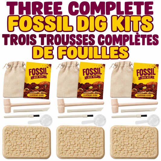 Bigly Brothers Fossil Dig Kit 3-Pack — Dinosaur Fossil Excavation Kits for Kids